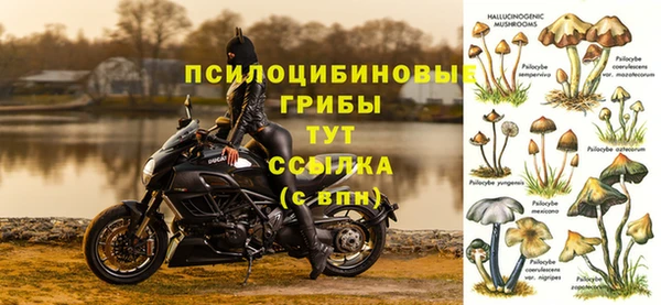 дживик Богородск